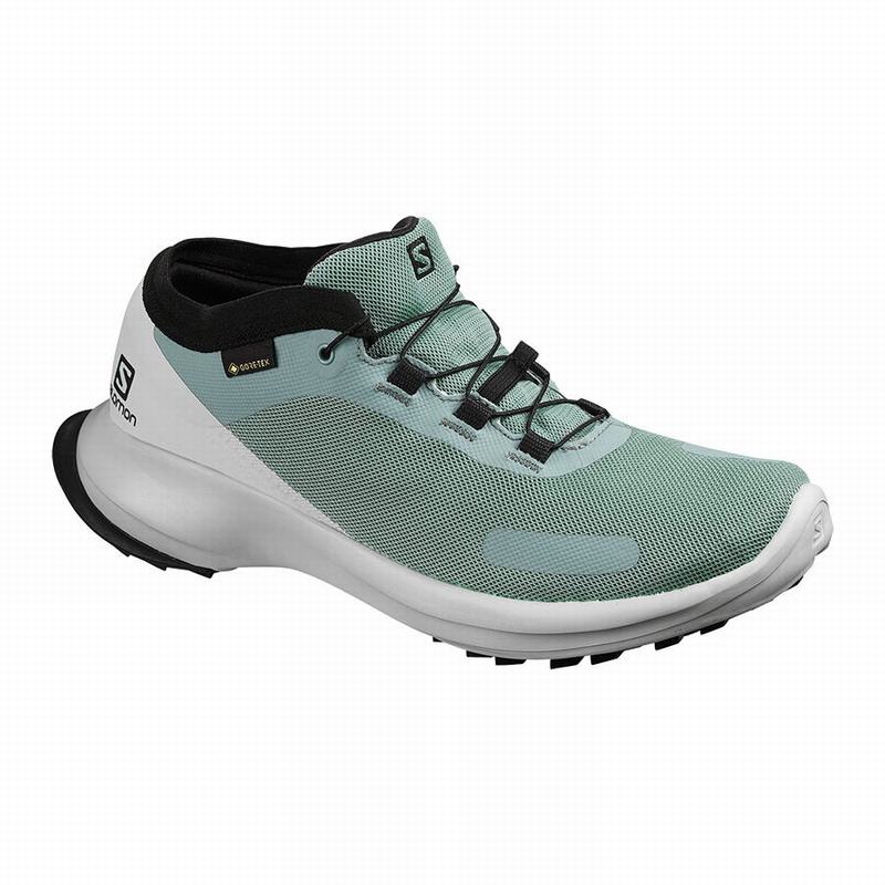 Zapatillas Trail Running Salomon Mujer Verde / Azules - Salomon Argentina SENSE FEEL GTX W ,603579-C